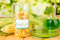 Llanwddyn biofuel availability