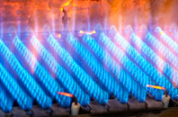 Llanwddyn gas fired boilers